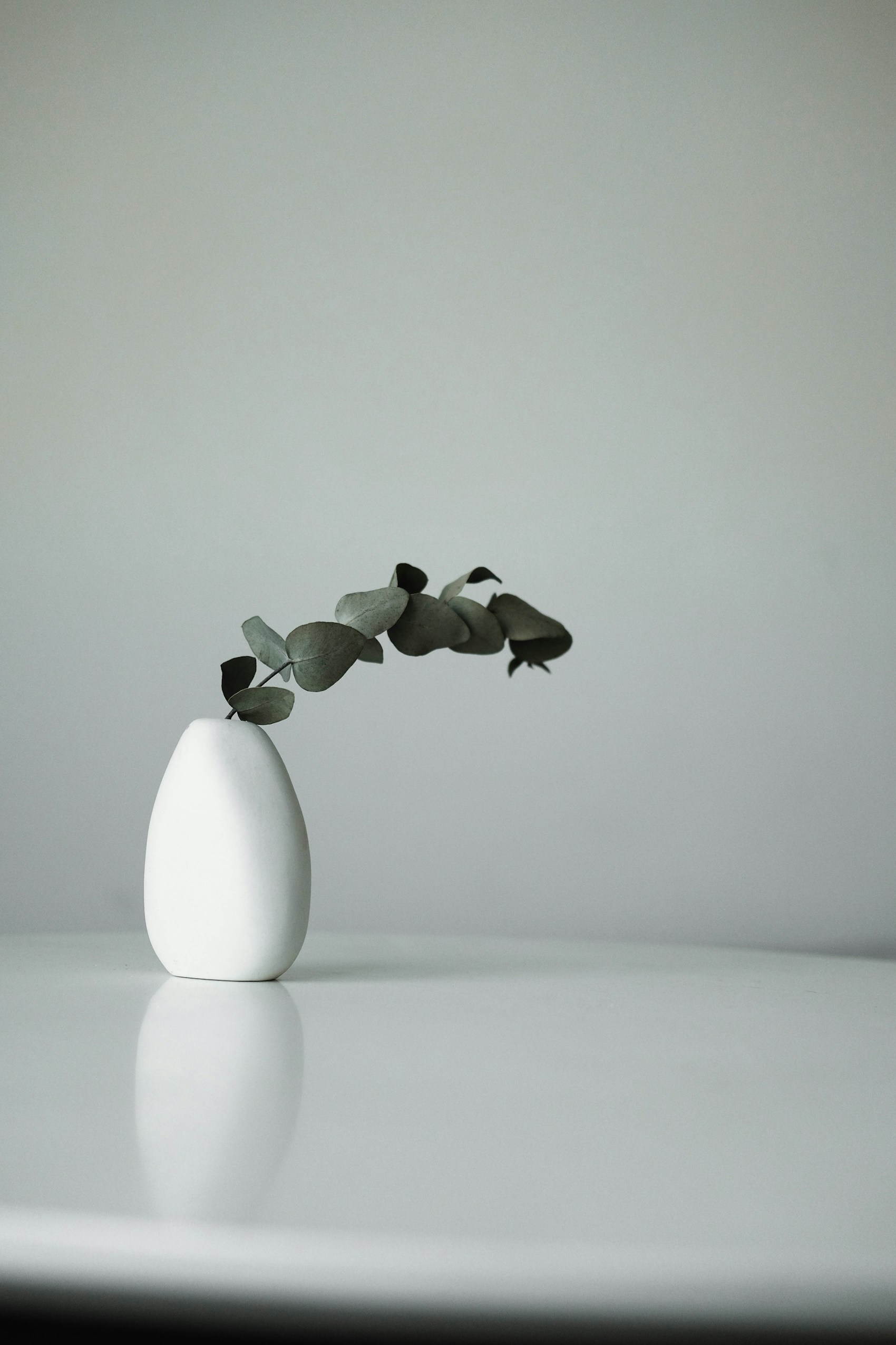 A white ceramic vase with green leaves